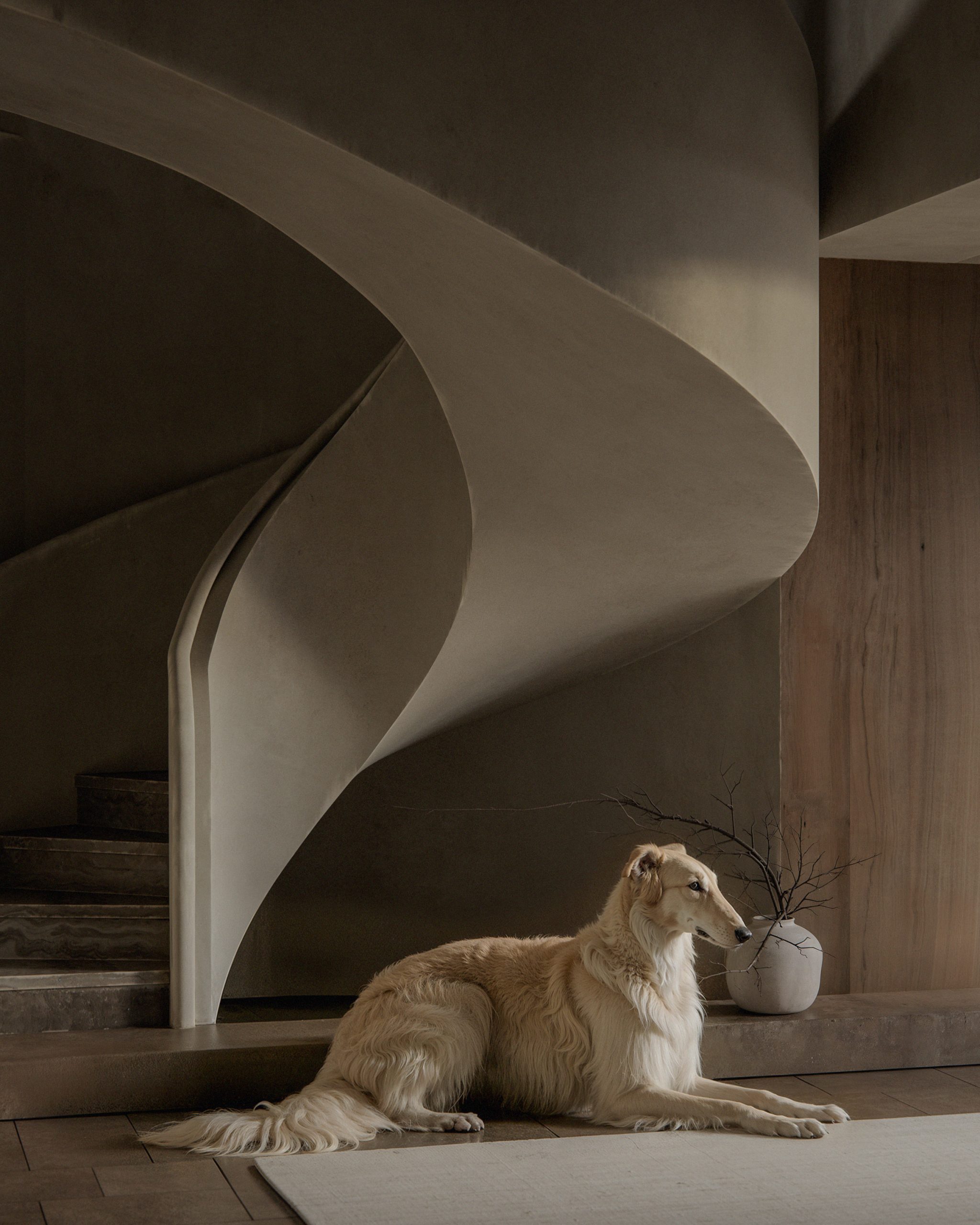 MEJORES ARQUITECTOS DE VALENCIA MATA ESTUDIO